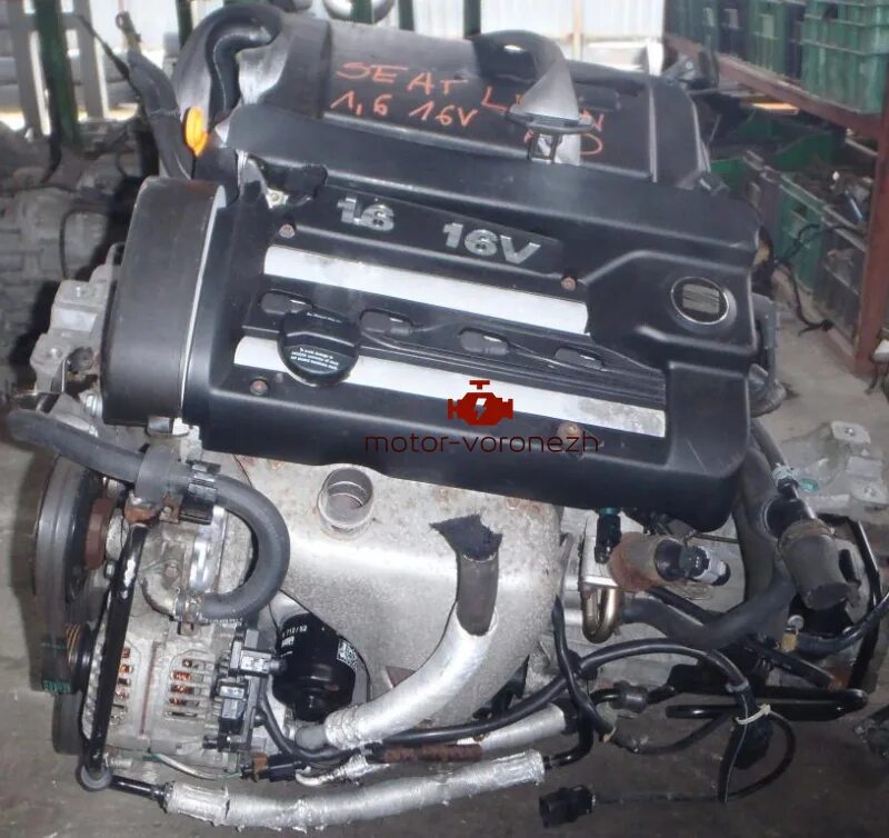 Двигатель 1 и 4 2001 год. Двигатель aus 1.6 16v гольф 4. golf 4 1.6 16v bcb. мотор гольф 4 1.6 16v. двигатель гольф 4 1.6 azd.