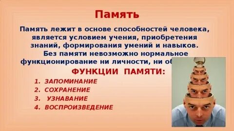 В основе способностей человека лежат