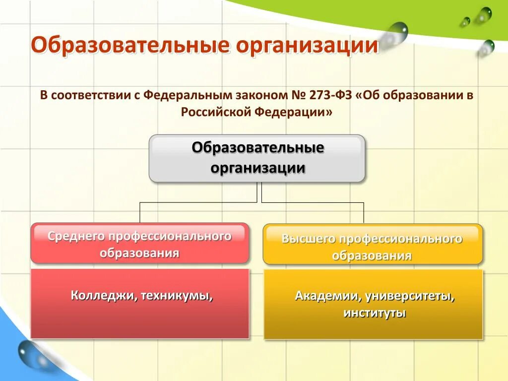 Что делает образовательная организация