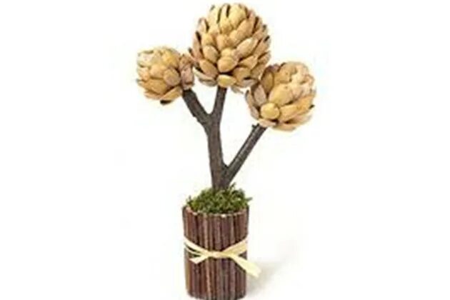 Фисташковые скорлупки