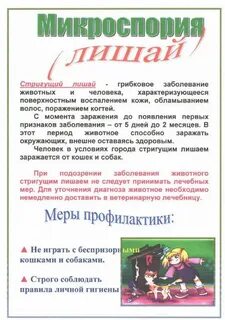 Лишай сколько дней карантин