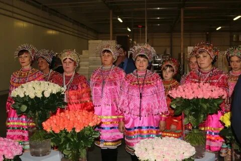 Цветы мордовия
