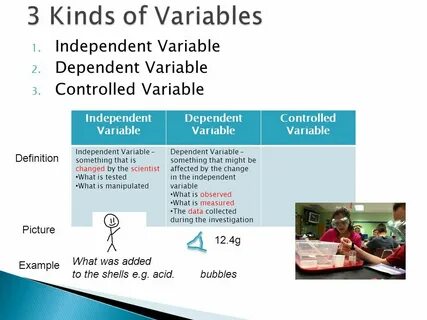 Variable перевод