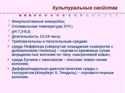 Лекция свойства