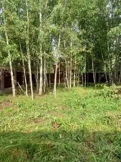 Снт утро московская область