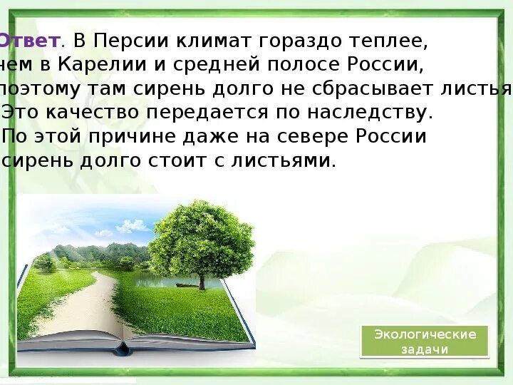 Климат Персии. Климатические условия Персии. Климат и занятия в Персии. Климат в Персии история 5 класс.