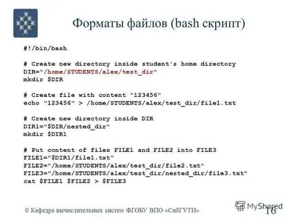 Bash script variables