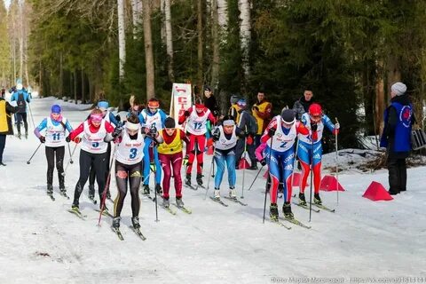 Спорт марий эл