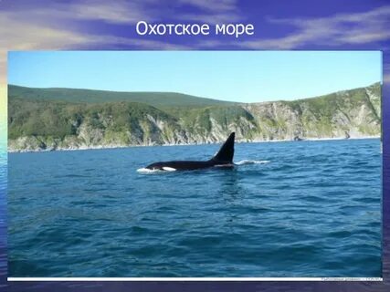 Реки охотского моря