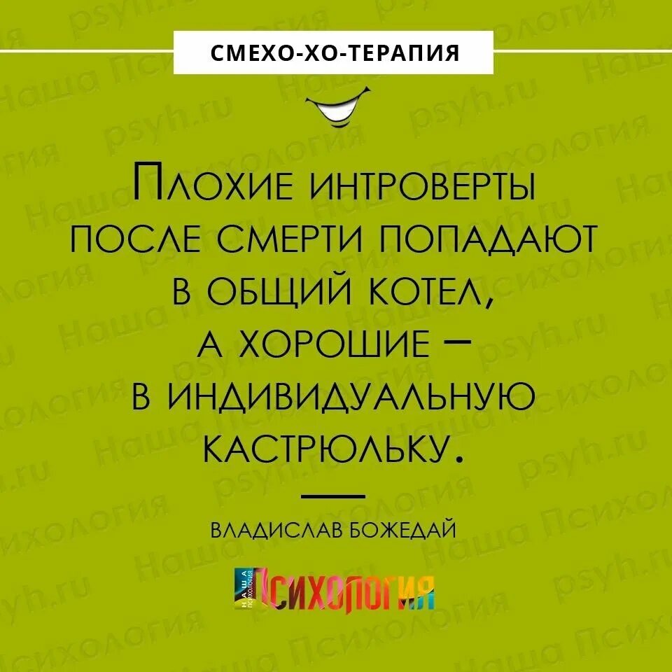 Интроверт песня. Анекдоты про интровертов. интроверт юмор. шутки про интровертов и экстравертов. цитаты про интровертов.