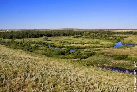 Новомусино шарлыкский оренбургская область