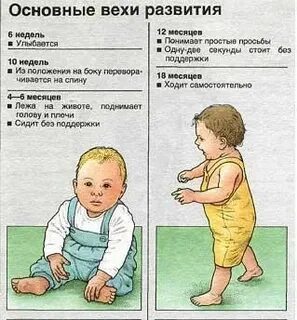 Во сколько месяцев садится малыш