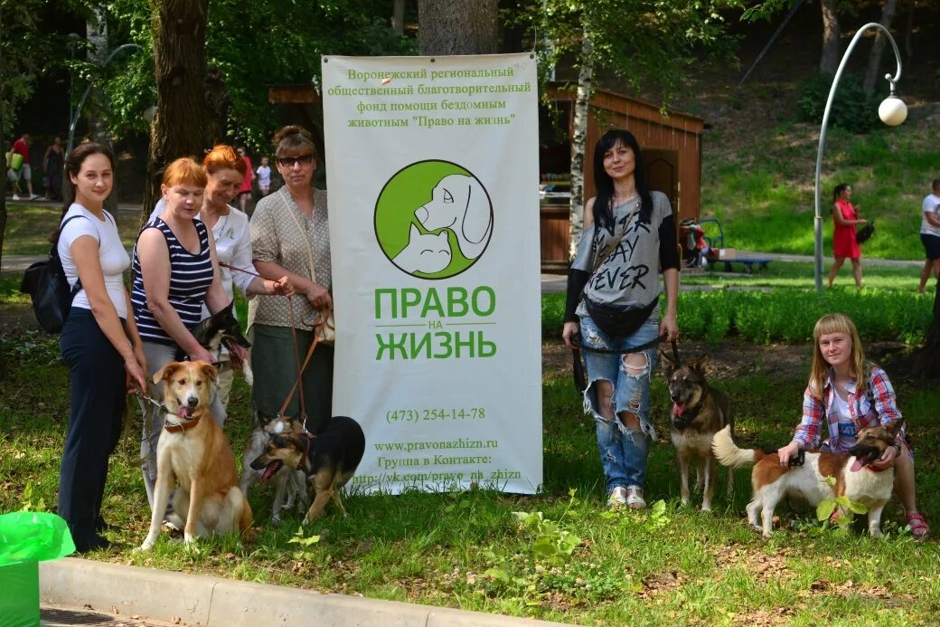 Город жизни фонд. Приют право на жизнь Воронеж. Право на жизнь приют для животных Воронеж. Право на жизнь фонд. Благотворительный фонд право на жизнь бездомным животным.