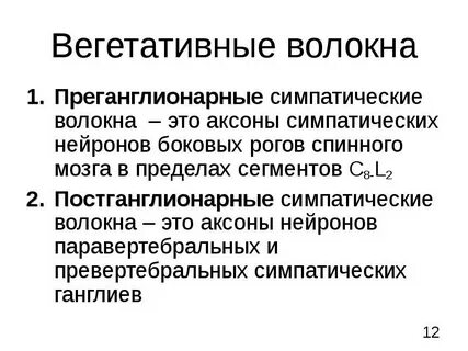 Преганглионарные волокна вегетативной нервной системы