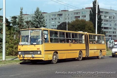 Автобус плодовое