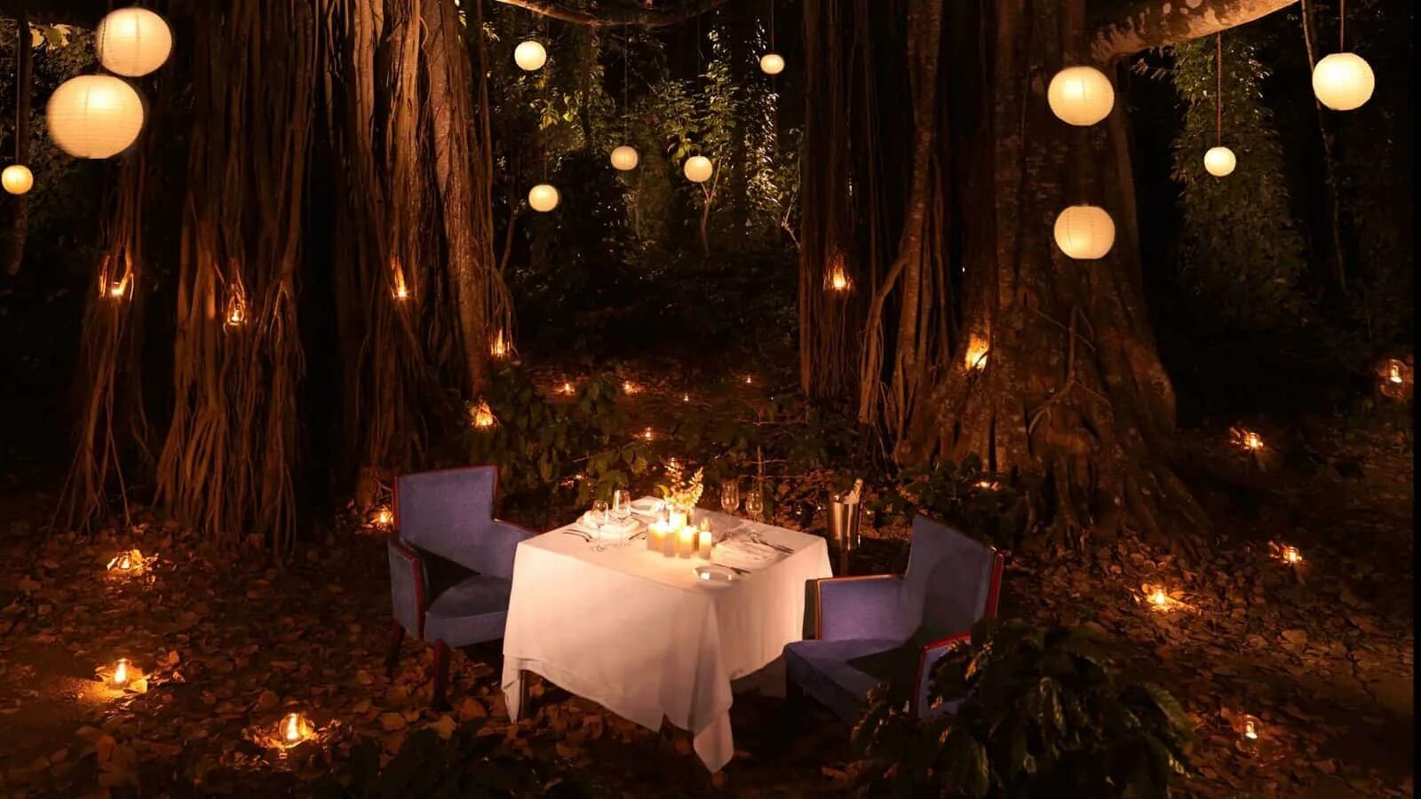 Ужин в лесу. Гирлянды в лесу. Романтический ужин в лесу. Гирлянда на дереве. Романтик в лесу.