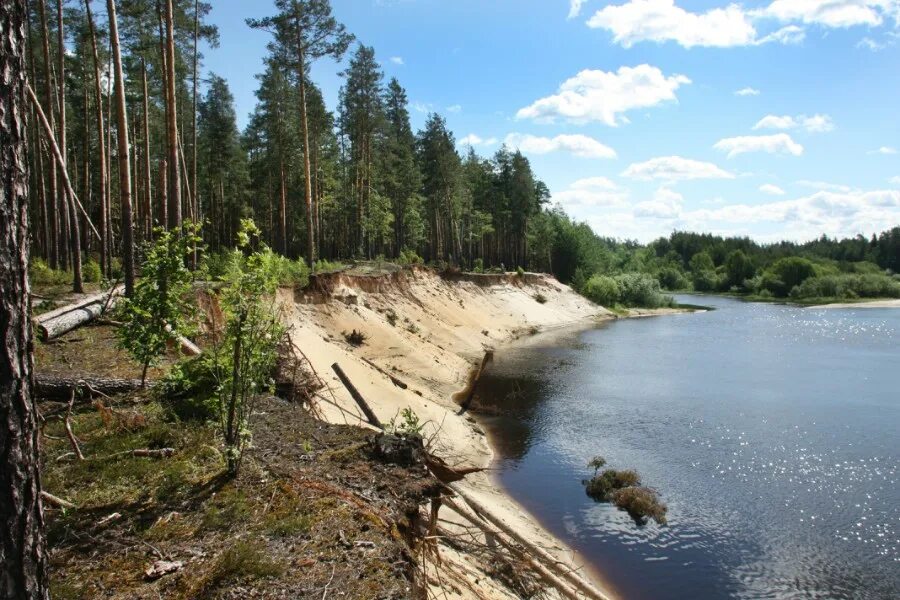 Берег реки урал оренбургская область. Енисейский кряж горы. Река енисей северо-енисейский район. Овраги тульской области. Карьерский овран казань.