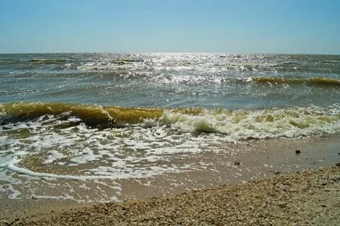 Азовское море впадающие реки