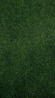 Grass se