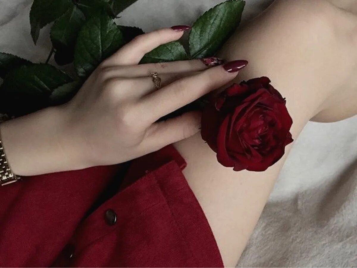 цветок на руку. дарит розу. цветок на руку. человечек держащий розочку. женская рука с цветком.