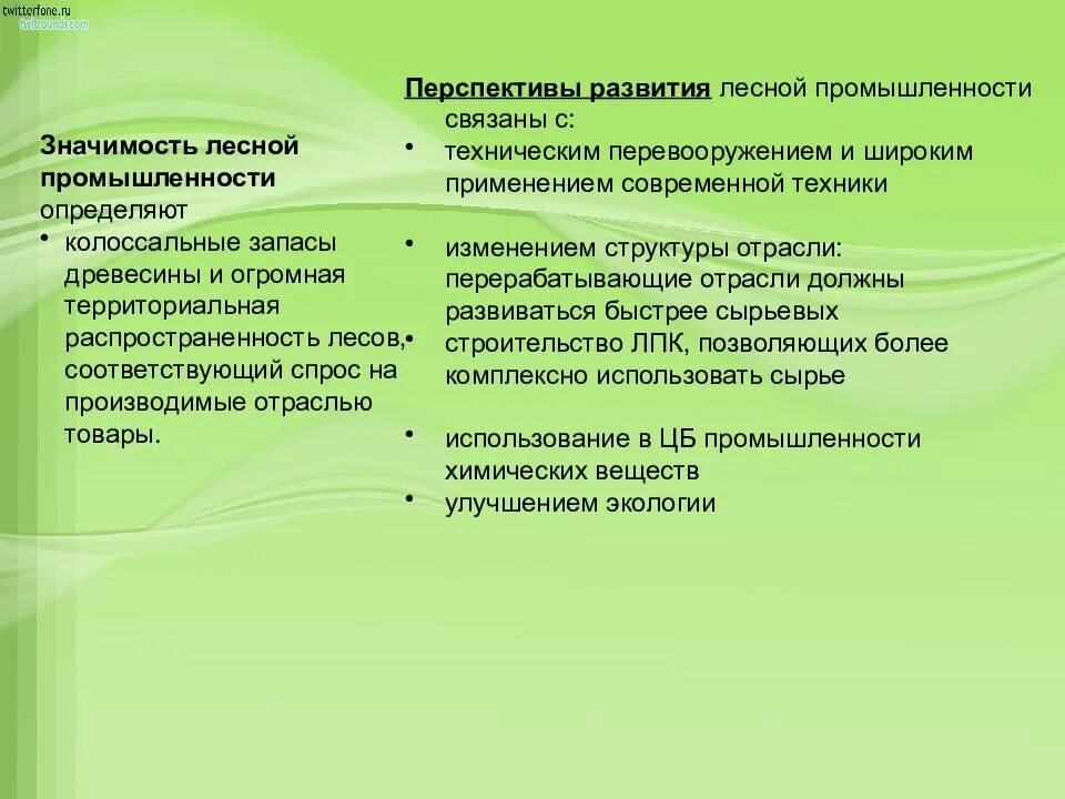 Перспективы Лесной промышленности. Значимость Лесной промышленности. Перспективы развития Лесной отрасли. Перспективы развития отрасли Лесной промышленности.