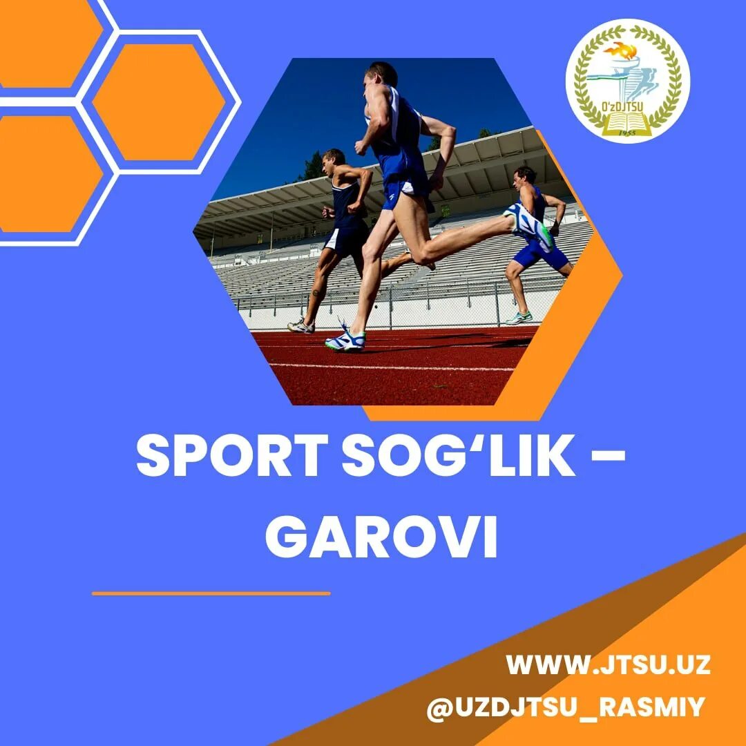 боевой нож sog tech bowie. Sog lik. складной нож сог терминус. Sog lik. нож sog kiku.