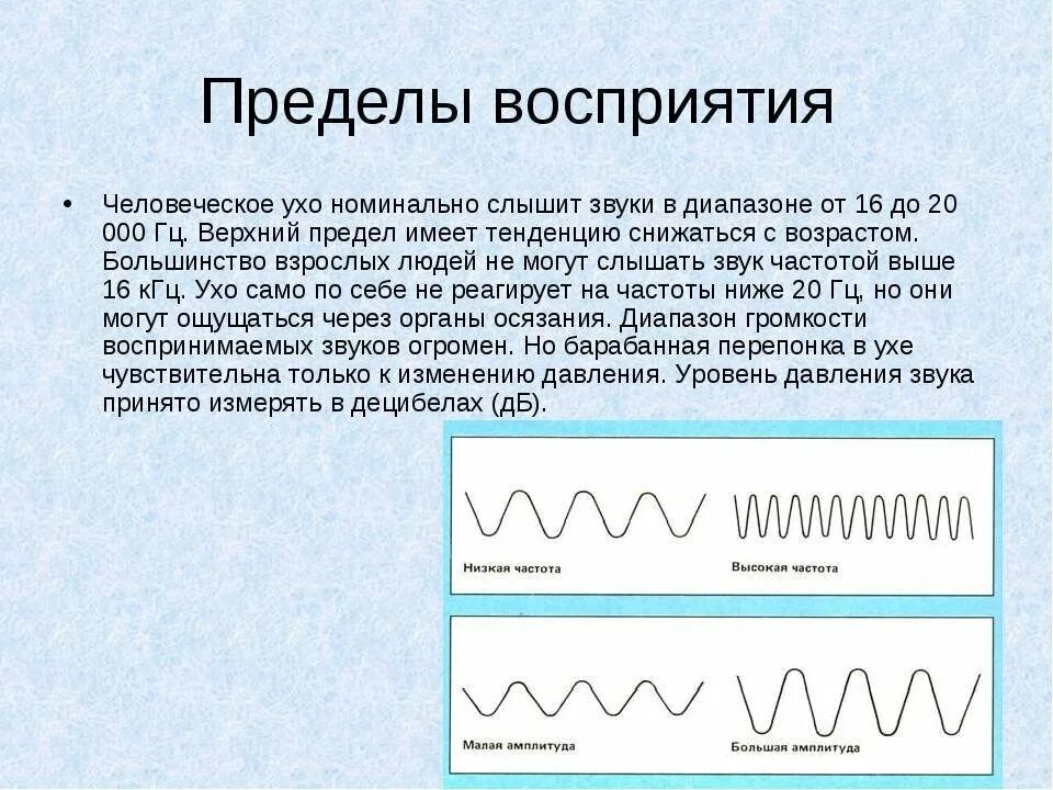 Предел восприятия звука. Диапазон восприятия звука человеком. Восприятие звука ухом человека. Частота восприятия человеческого уха. На рисунке приведены частоты воспринимаемые органами слуха