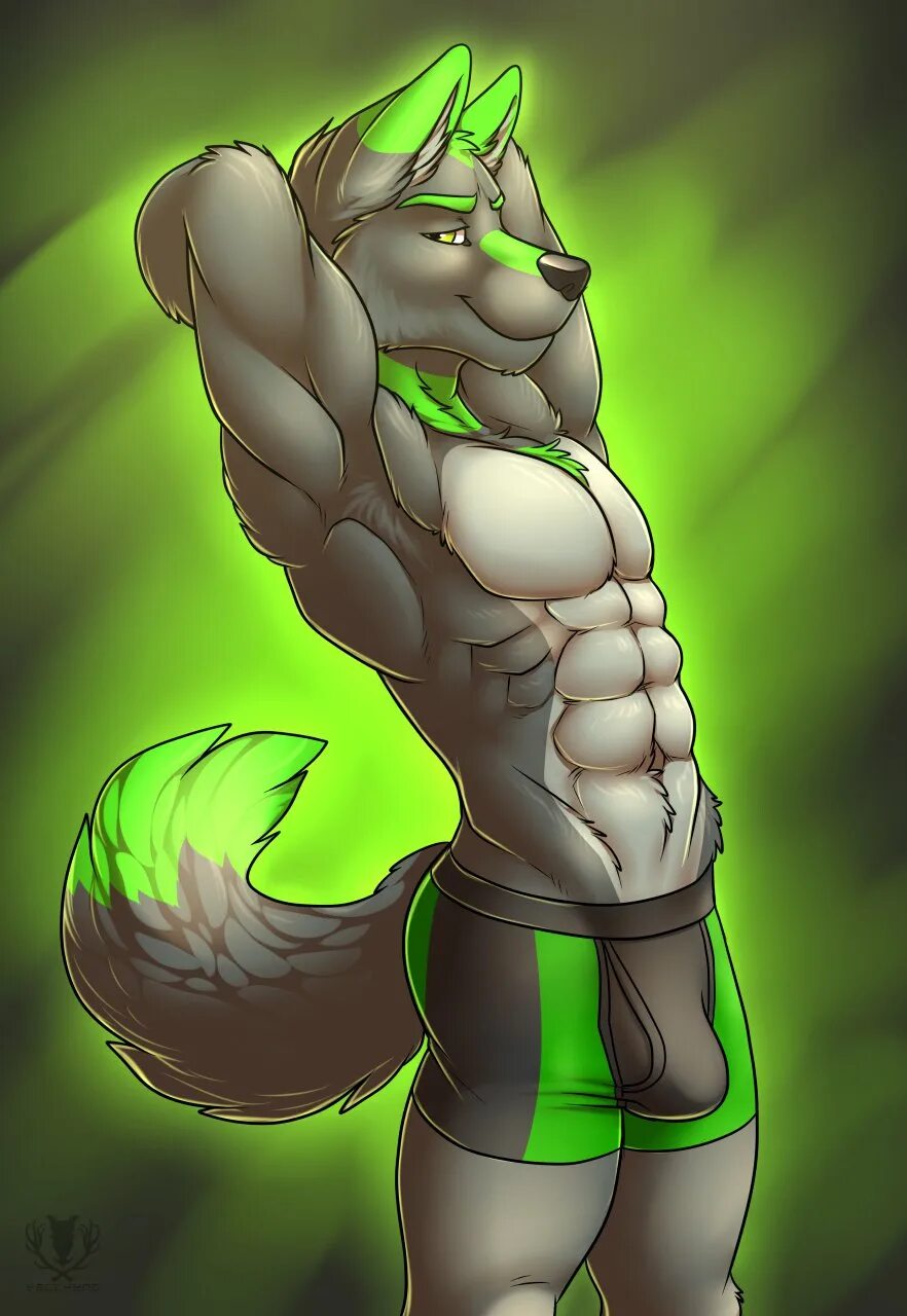 Фурри арт. Фурри лис. Фурри imanika. Фурри волчица зоя. Cress tartii.