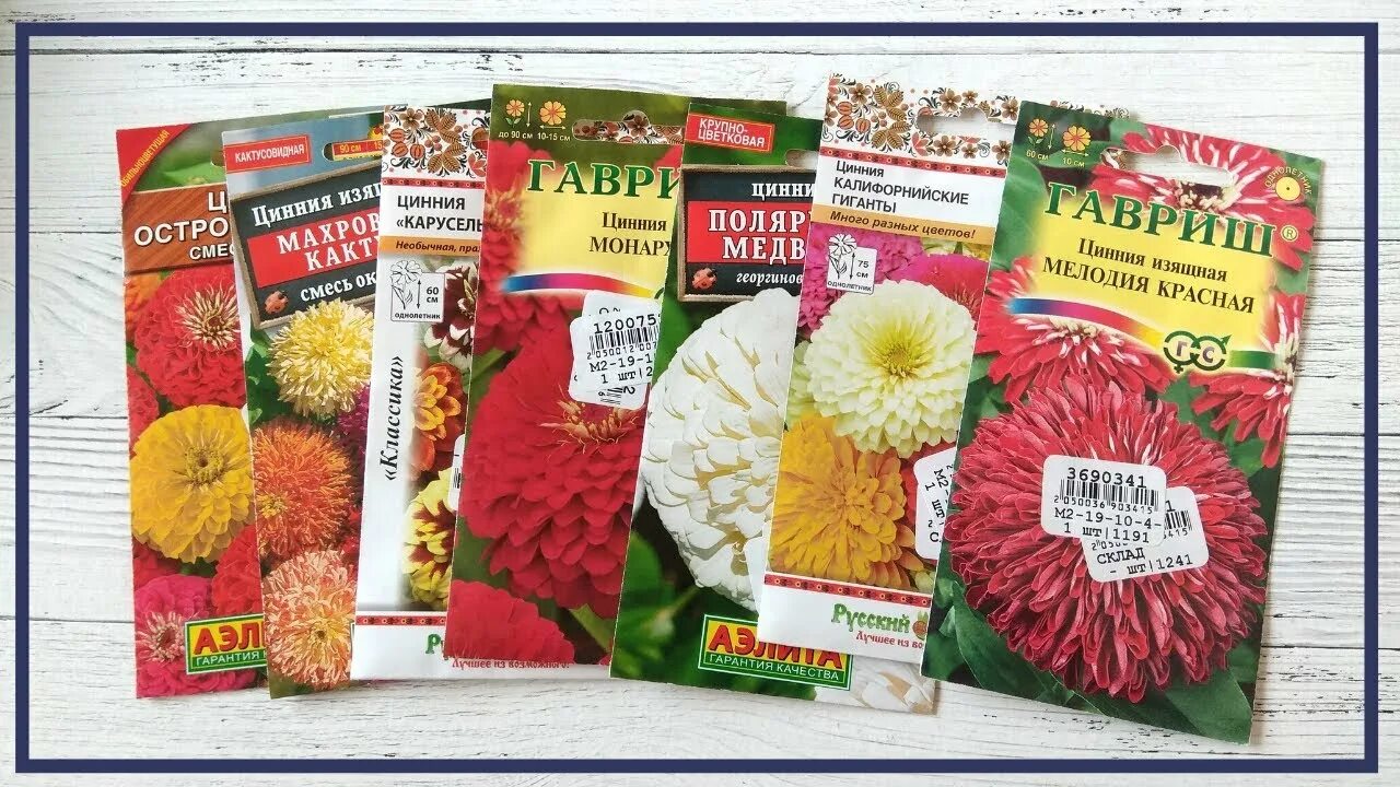 Семена почтой. Семена почтой наложенным платежом недорого. Самые дешевые семена. Русские семена интернет магазин цветы.