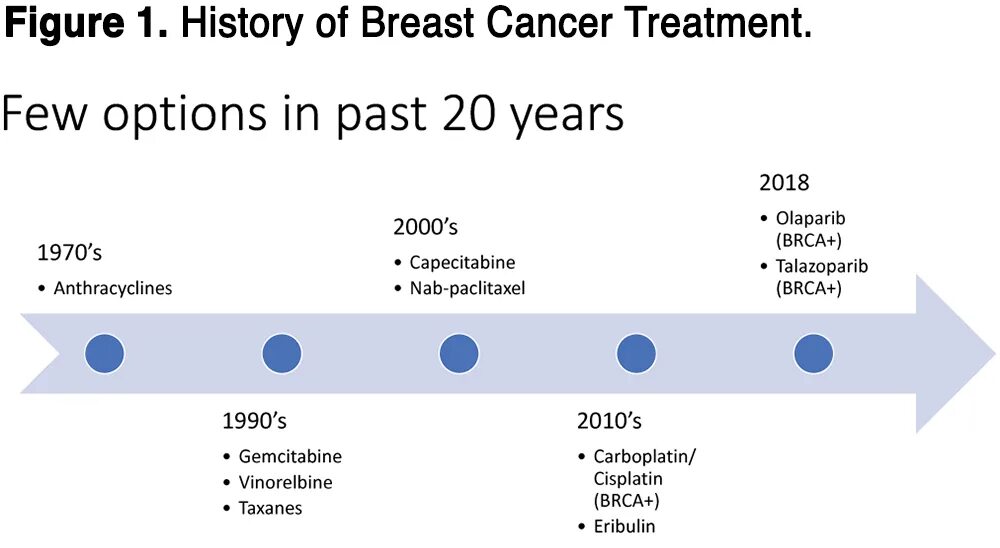 Her2-Low Advanced breast Cancer. Result breast Cancer her2 Low Brasil. Triple negative Cancer Symptoms. Prognostic and Survival actors breast Cancer. Treatment method