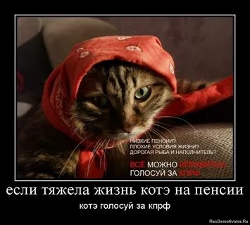 Тяжела ли жизнь