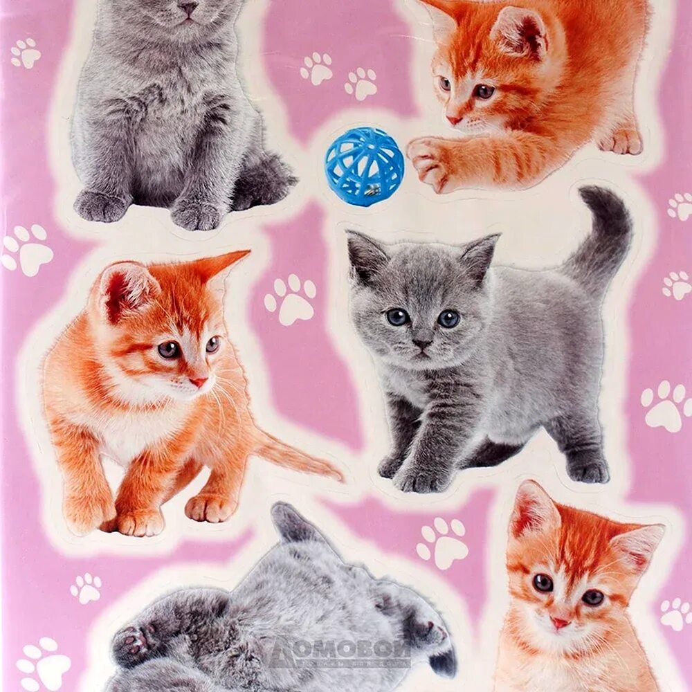 Милые наклейки. Наклейки с котами. Наклейка - кошки. Наклейки котята распечатать. Милые наклейки.