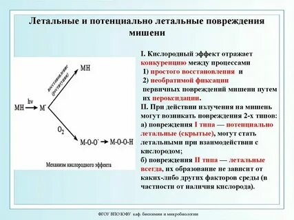 Летален в доминантном состоянии
