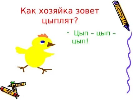 Цыпленок исключение