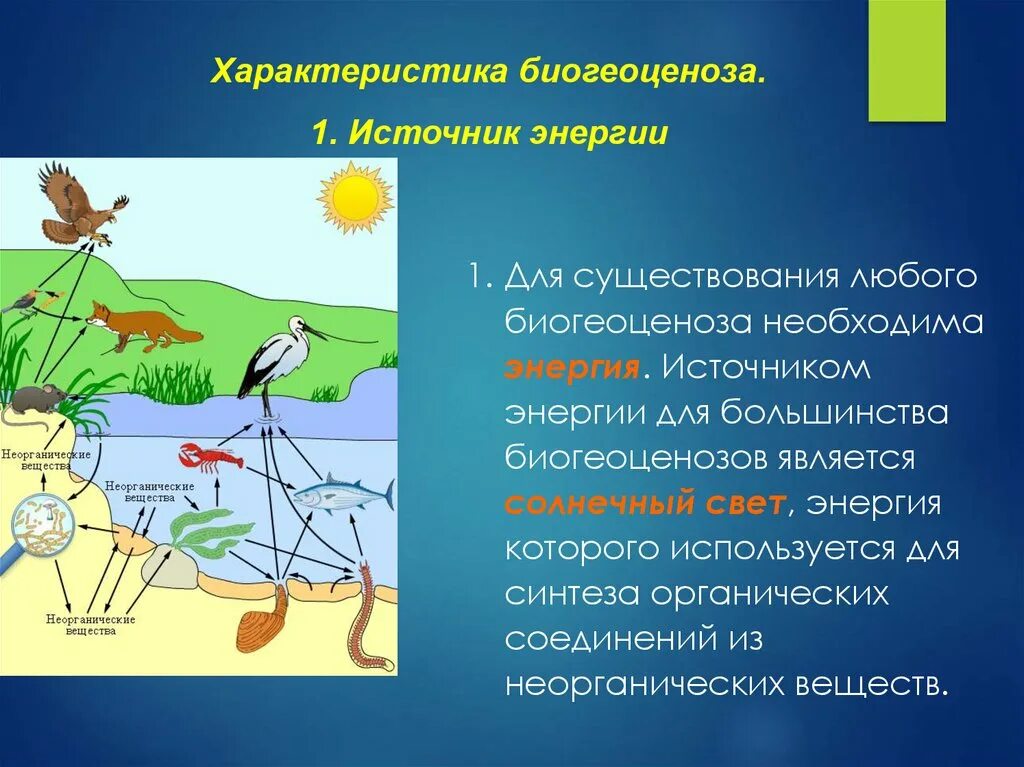 Источником энергии для жизни организмов является. Источники энергии в экосистеме. Источник энергии биогеоценоза. Энергия в экосистемах. Источник энергии агроэкосистемы.