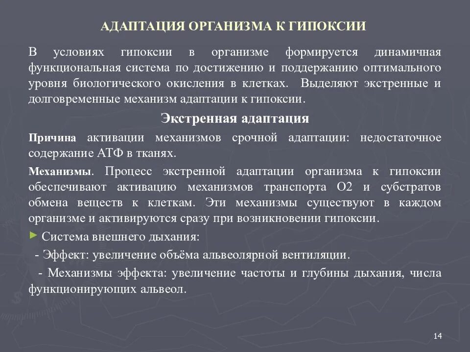 Механизмы при гипоксии. Срочные и долговременные адаптивные реакции организма при гипоксии. Адаптация к гипоксии. Экстренный механизм адаптации к гипоксии.