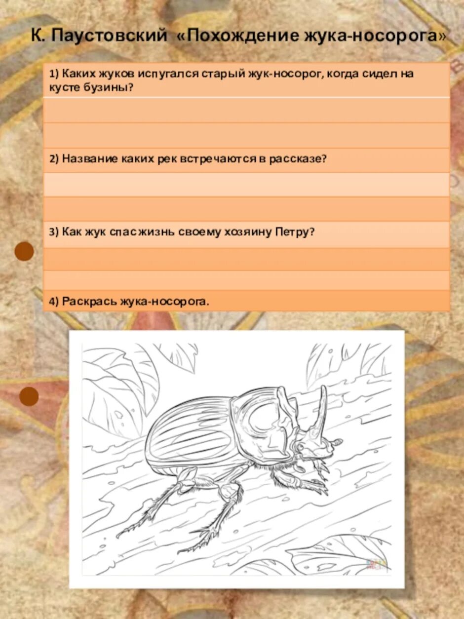 Произведение похождение жука носорога. Похождения жука-носорога. Паустовский похождения жука носорога. Жук носорог Паустовский. Рассказ похождение жука носорога.