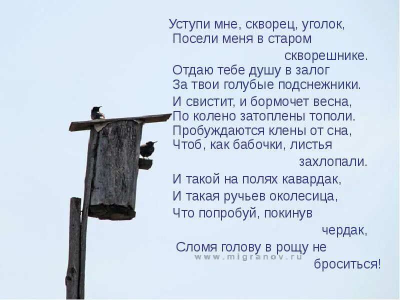 Строфа в стихотворении уступи мне скворец уголок. Уступи мне сковер цголок. умтури мне сквлрец угодок. уступи мне скворец уголок посели. стихотворение уступи мне скворец уголок.
