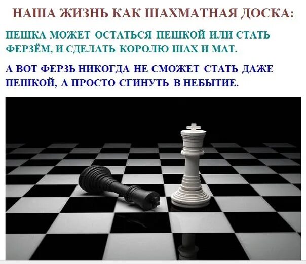 Причина по которой королю нужен. Пешка на шахматной доске. Жизнь как шахматная доскк. Шахматный черный ферзь на доске. Жизнь шахматная доска.