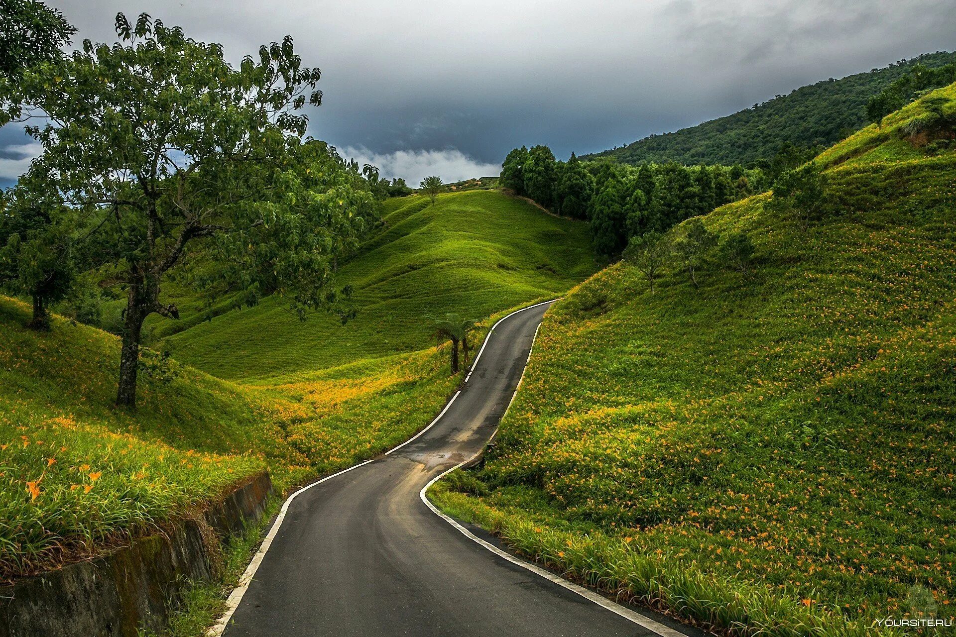 Дорога надежная всегда. Извилистая тропа в гору. Красивая дорога. Природа дорога. Пейзаж с дорогой.