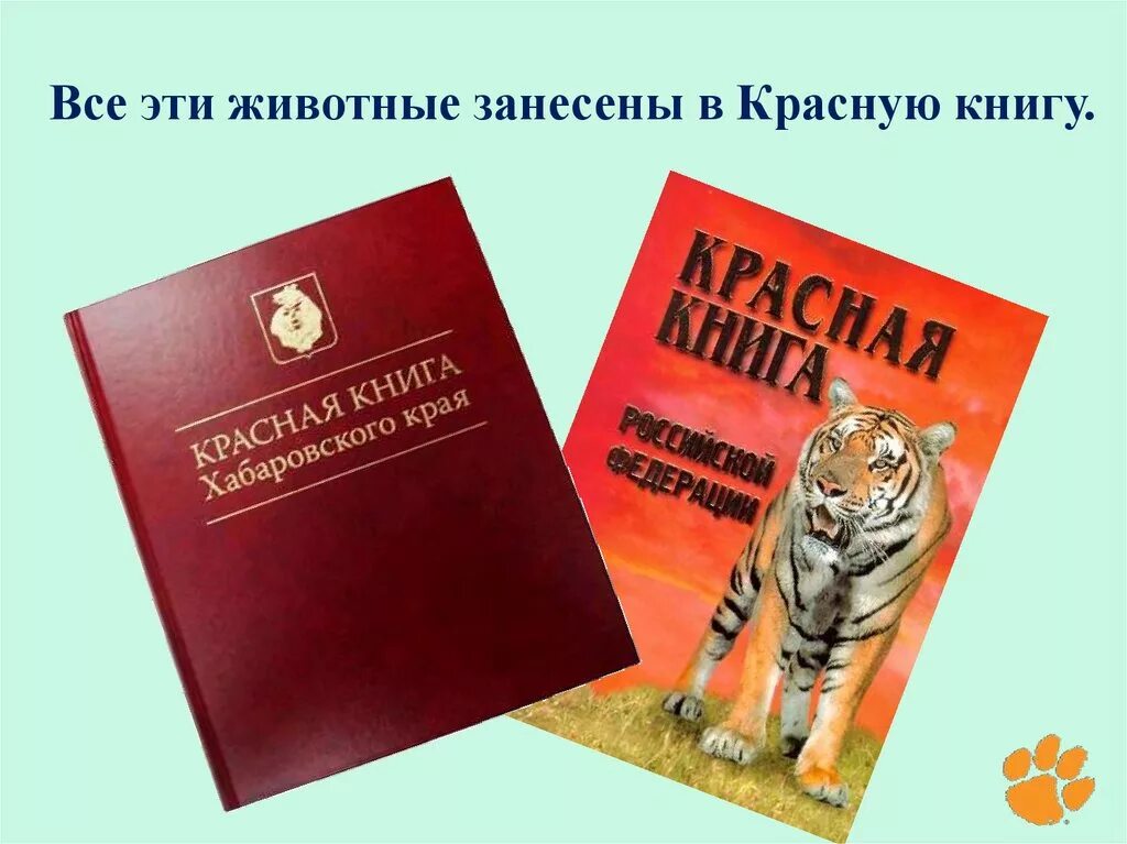 Красная книга открытки. Красная гнида животных. Красная книга России. Животные. Караснаякнигаживотных. Животное занесенное в красную книгу.