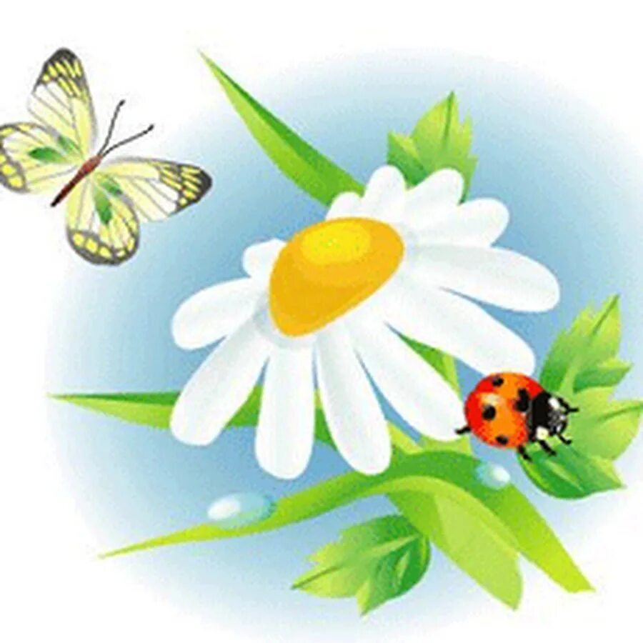 Цветочки мультяшные. Украшения группы ромашки. Ромашка для детей в детском саду. Картинки ромашки для детей в детском саду. Ромашка для дошкольников.