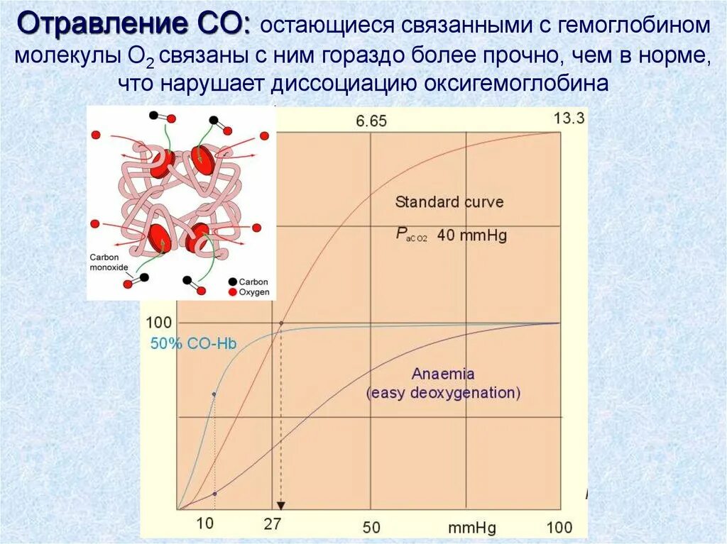Оксигемоглобин повышение. Схема связывания газов гемоглобином. кривая диссоциации оксигемоглобина физиология. диссоциация гемоглобина. диссоциация оксигемоглобина.