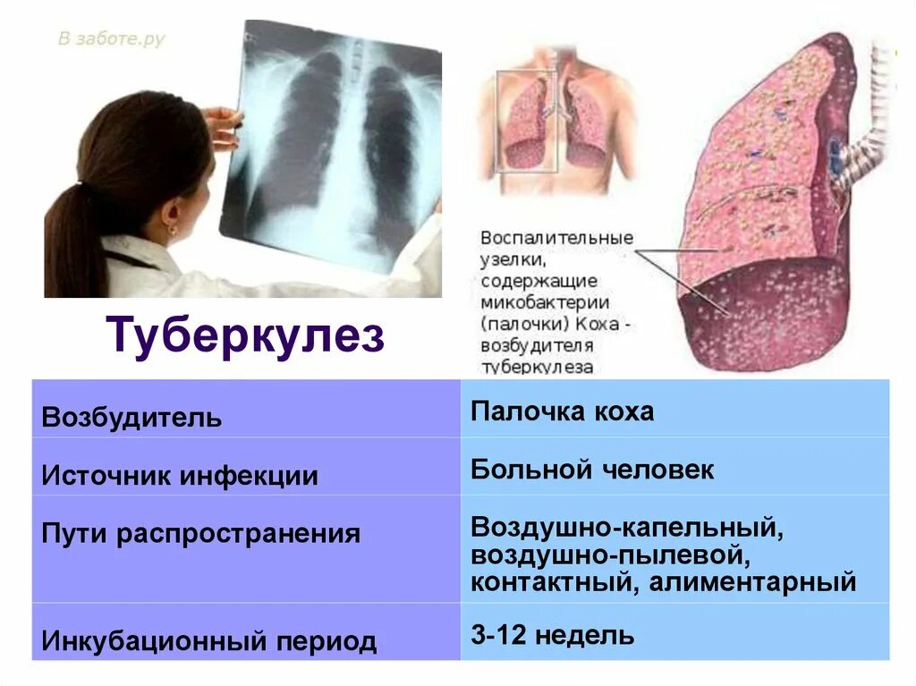 Источником туберкулеза является. Источник инфекции туберкулеза. Источники болезни туберкулеза. Источники заражения туберкулезом. Источники туберкулёзной инфекции.