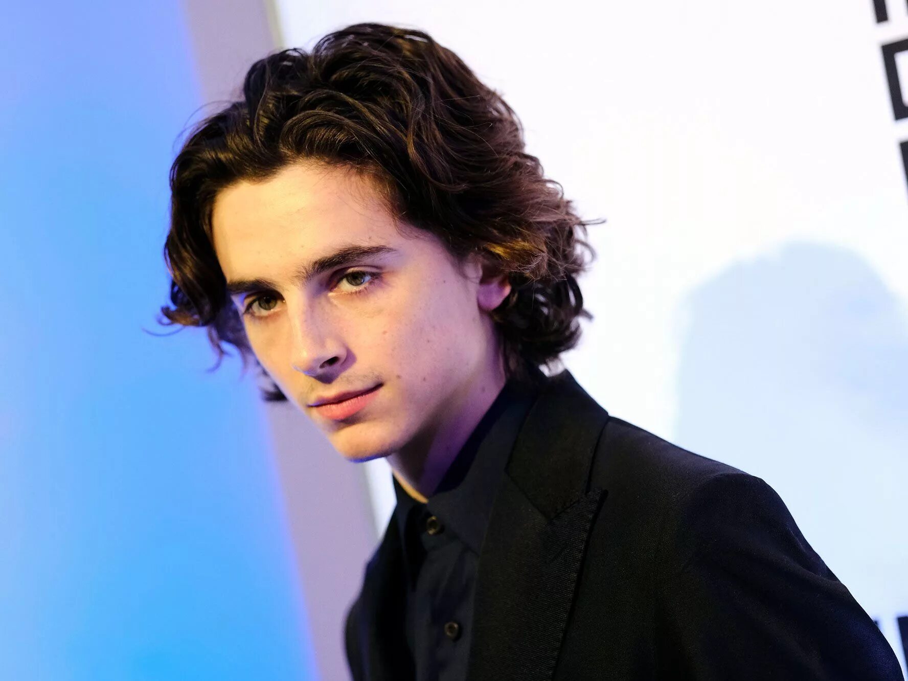 тимоти чаламет 2020. тимоти шаламе timothée chalamet. голливуд. тимофей чаламет. тимоти шаламе 2021.