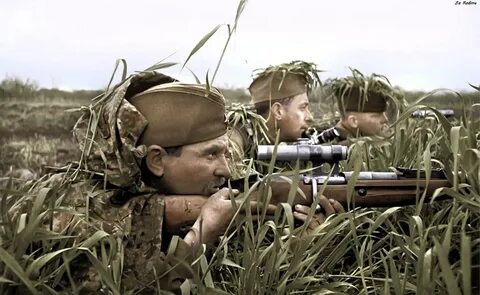 Военное про снайперов 1941 1945