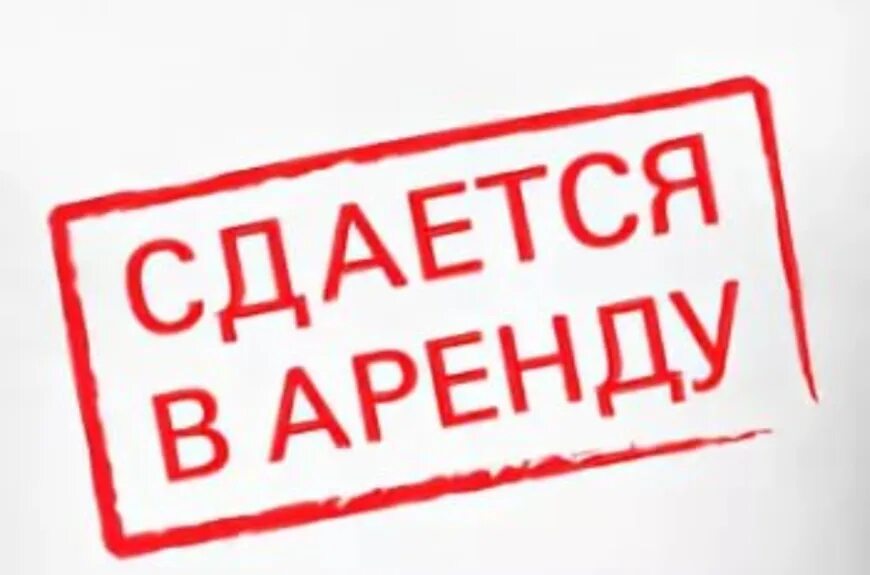 Сдается территория в аренду. Сдается в аренду. сдается помещение в аренду. табличка сдается в аренду. сдаётся помещения надпись.