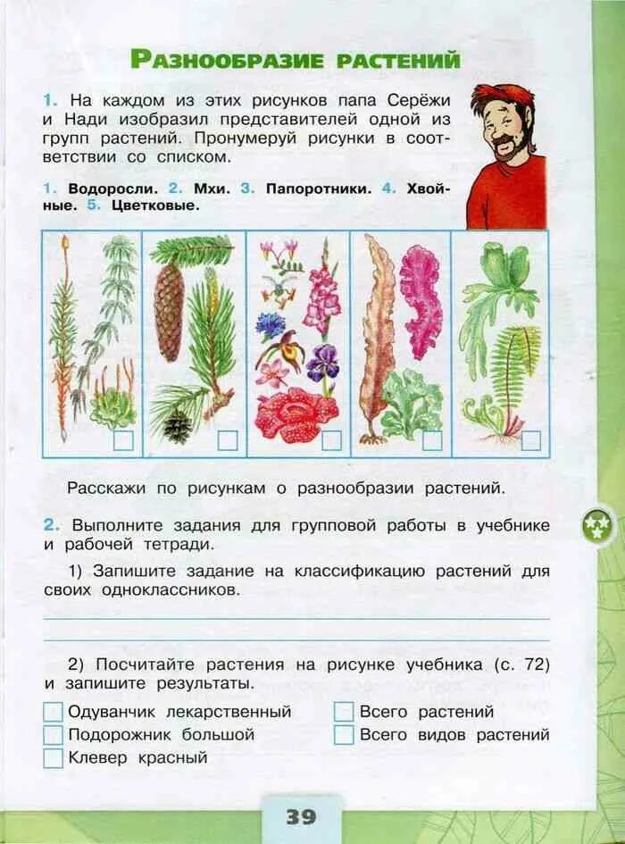 Окружающий 3 класс 2 часть страница 75. Окружающему миру 3 класс Плешаков рабочая тетрадь мир растений. Окружающий мир 3 класс рабочая тетрадь стр 39 номер 1 Плешаков. Окружающий мир 3 класс рабочая тетрадь 1 часть Плешаков стр 39. Окружающий мир Плешаков 3 класс стр 39.