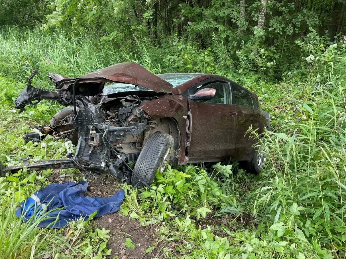 Происшествия в новгородской области