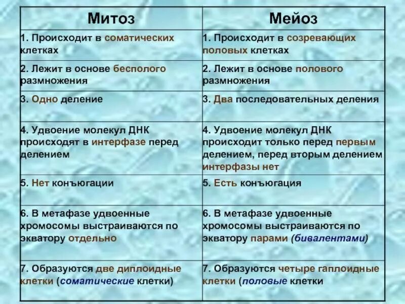 Отличия митоза от мейоза 9 класс. Отличия митоза от мейоза по фазам. Тип деления митоза и мейоза. Строение митоза и мейоза таблица. Признаки митоза и мейоза таблица.